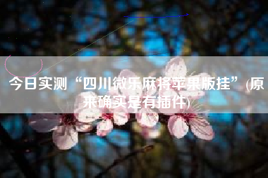 今日实测“四川微乐麻将苹果版挂	”(原来确实是有插件)