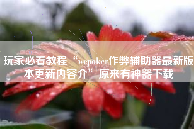 玩家必看教程“wepoker作弊辅助器最新版本更新内容介	”原来有神器下载