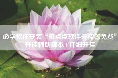 必学教你安装“扣点点软件开挂器免费	”开挂辅助脚本+详细开挂