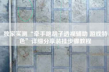 独家实测“牵手跑胡子透视辅助 游戏特色”详细分享装挂步骤教程