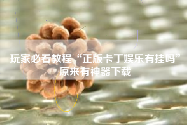 玩家必看教程“正版卡丁娱乐有挂吗”原来有神器下载