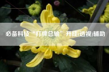 必备科技“打牌总输”开挂(透视)辅助