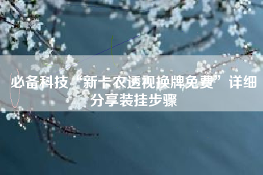 必备科技“新卡农透视换牌免费	”详细分享装挂步骤