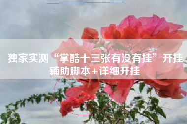 独家实测“掌酷十三张有没有挂”开挂辅助脚本+详细开挂