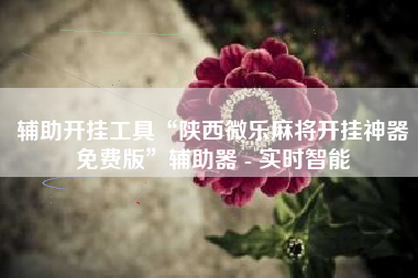 辅助开挂工具“陕西微乐麻将开挂神器免费版”辅助器 - 实时智能