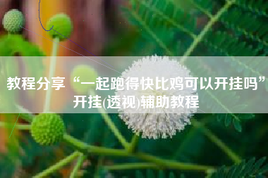 教程分享“一起跑得快比鸡可以开挂吗”开挂(透视)辅助教程