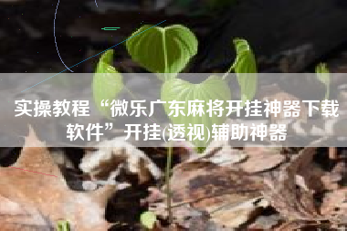 实操教程“微乐广东麻将开挂神器下载软件	”开挂(透视)辅助神器