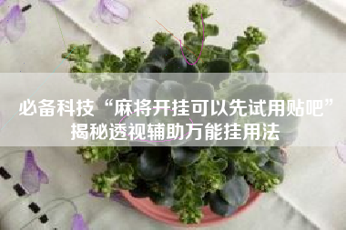 必备科技“麻将开挂可以先试用贴吧”揭秘透视辅助万能挂用法