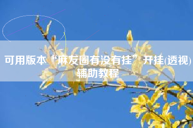 可用版本“麻友圈有没有挂”开挂(透视)辅助教程