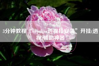 3分钟教程“wepoker透视挂安装”开挂(透视)辅助神器