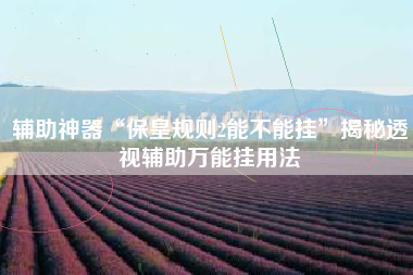 辅助神器“保皇规则2能不能挂	”揭秘透视辅助万能挂用法