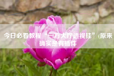 今日必看教程“一方大厅透视挂”(原来确实是有插件