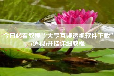 今日必看教程“大亨互娱透视软件下载”(透视)开挂详细教程