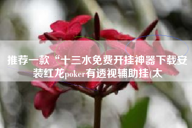 推荐一款“十三水免费开挂神器下载安装红龙poker有透视辅助挂(太