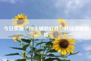 今日实测“拼十辅助软件”开挂详细教程