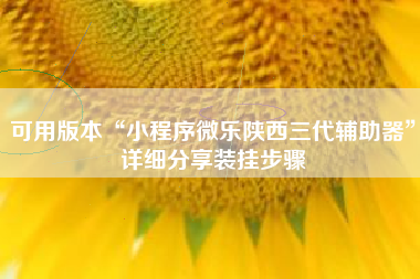 可用版本“小程序微乐陕西三代辅助器”详细分享装挂步骤