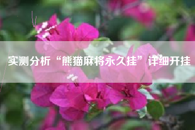 实测分析“熊猫麻将永久挂	”详细开挂