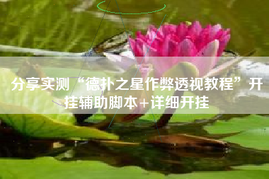 分享实测“德扑之星作弊透视教程”开挂辅助脚本+详细开挂