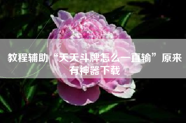 教程辅助“天天斗牌怎么一直输”原来有神器下载