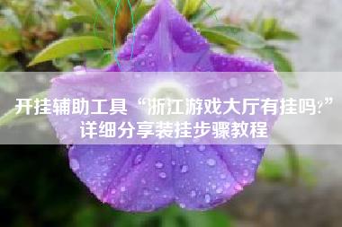 开挂辅助工具“浙江游戏大厅有挂吗?”详细分享装挂步骤教程