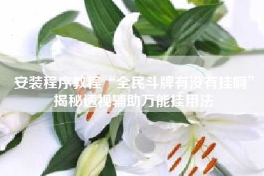 安装程序教程“全民斗牌有没有挂啊	”揭秘透视辅助万能挂用法