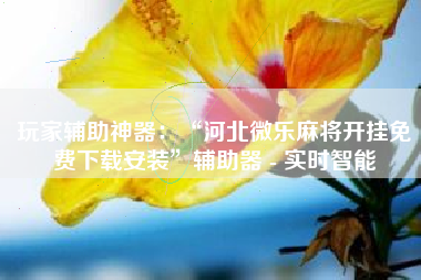 玩家辅助神器：“河北微乐麻将开挂免费下载安装”辅助器 - 实时智能