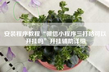 安装程序教程“微信小程序三打哈可以开挂吗”开挂辅助详细