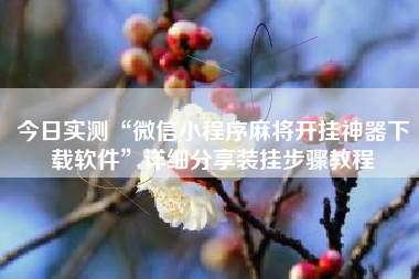 今日实测“微信小程序麻将开挂神器下载软件	”详细分享装挂步骤教程