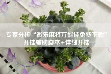 专家分析“微乐麻将万能挂免费下载	”开挂辅助脚本+详细开挂