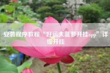 安装程序教程“好运大菠萝开挂app”详细开挂