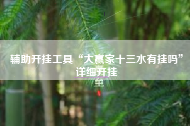 辅助开挂工具“大赢家十三水有挂吗”详细开挂