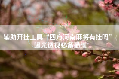 辅助开挂工具“四方河南麻将有挂吗”(曝光透视必备猫腻