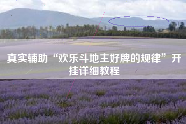 真实辅助“欢乐斗地主好牌的规律	”开挂详细教程