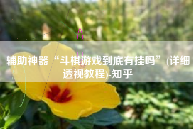 辅助神器“斗棋游戏到底有挂吗	”(详细透视教程)-知乎