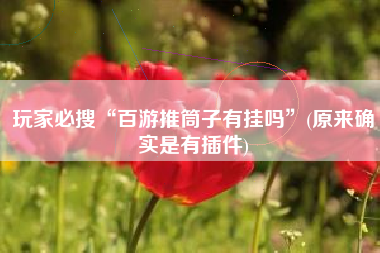 玩家必搜“百游推筒子有挂吗”(原来确实是有插件)