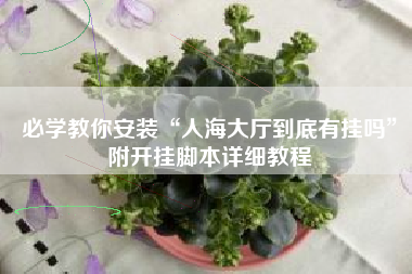 必学教你安装“人海大厅到底有挂吗”附开挂脚本详细教程