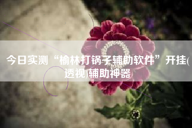 今日实测“榆林打锅子辅助软件”开挂(透视)辅助神器