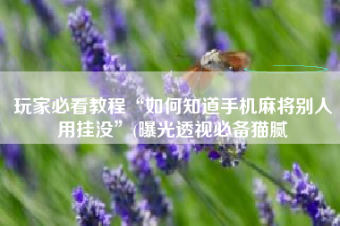 玩家必看教程“如何知道手机麻将别人用挂没”(曝光透视必备猫腻