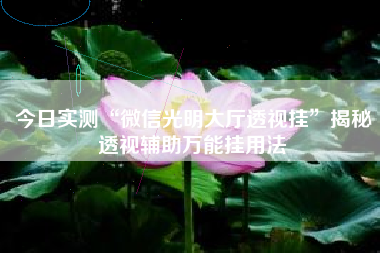 今日实测“微信光明大厅透视挂”揭秘透视辅助万能挂用法