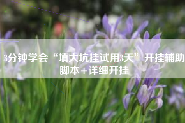 3分钟学会“填大坑挂试用3天	”开挂辅助脚本+详细开挂