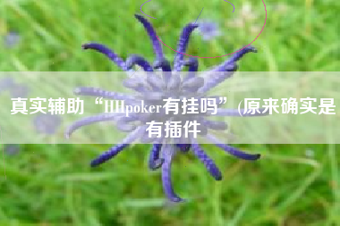 真实辅助“HHpoker有挂吗”(原来确实是有插件