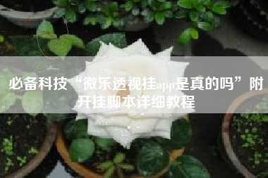 必备科技“微乐透视挂app是真的吗	”附开挂脚本详细教程