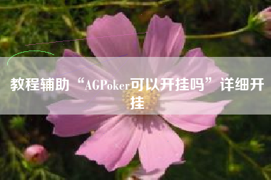 教程辅助“AGPoker可以开挂吗	”详细开挂