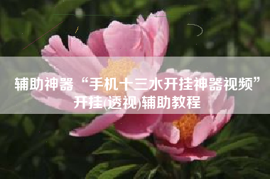 辅助神器“手机十三水开挂神器视频	”开挂(透视)辅助教程