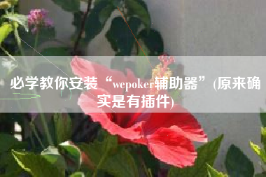 必学教你安装“wepoker辅助器”(原来确实是有插件)