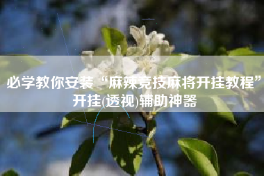 必学教你安装“麻辣竞技麻将开挂教程”开挂(透视)辅助神器
