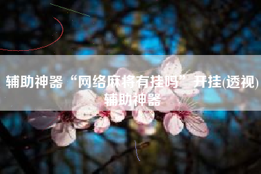 辅助神器“网络麻将有挂吗	”开挂(透视)辅助神器