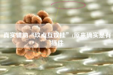 真实辅助“玖点互娱挂”(原来确实是有插件