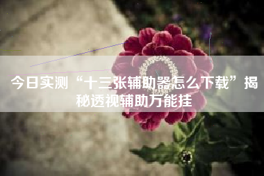 今日实测“十三张辅助器怎么下载”揭秘透视辅助万能挂