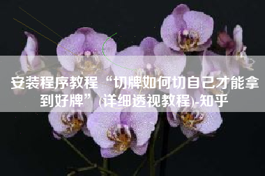 安装程序教程“切牌如何切自己才能拿到好牌”(详细透视教程)-知乎